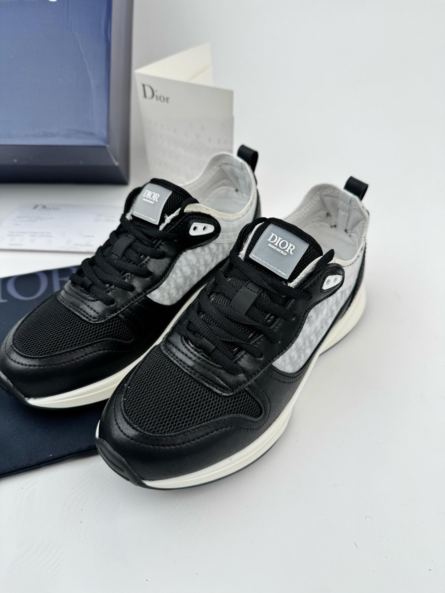 Dior B25 Black & White